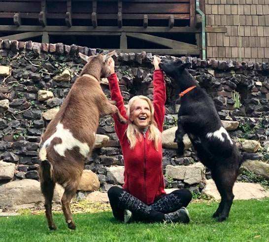 Goat Yoga at the Gamble House